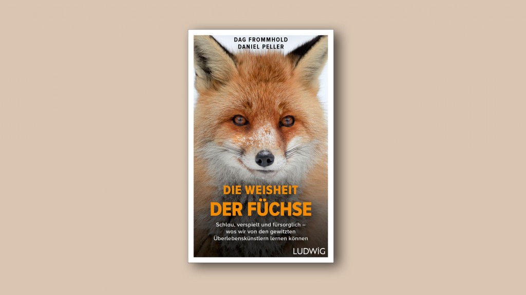 Buchcover: Dag Frommhold - Die Weisheit der Füchse
