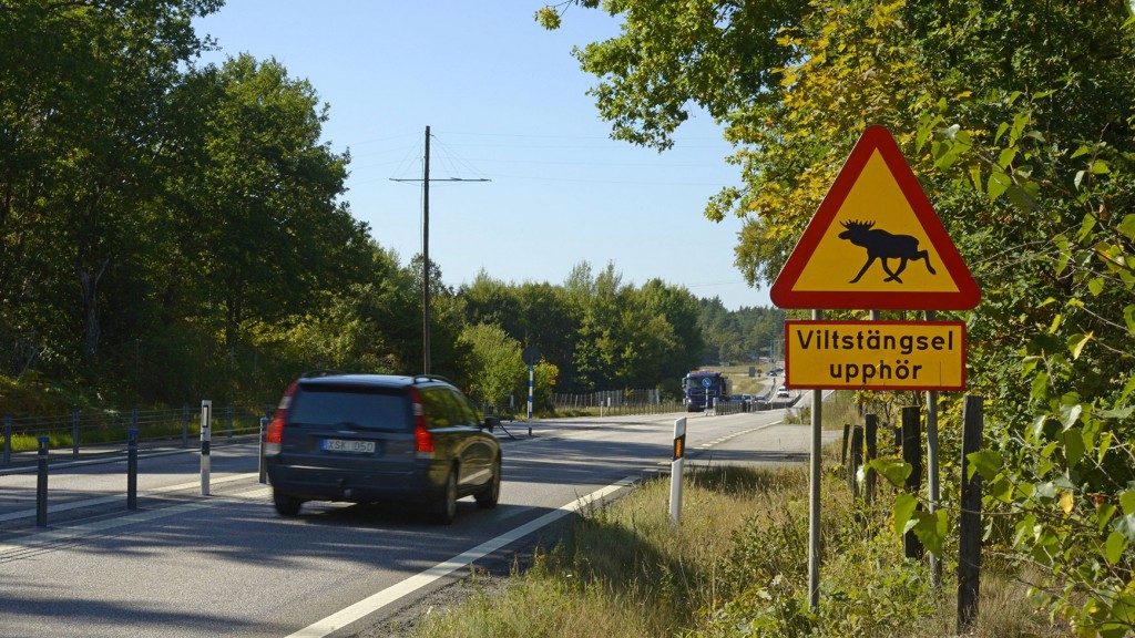 Elch-Warnschild in Schweden