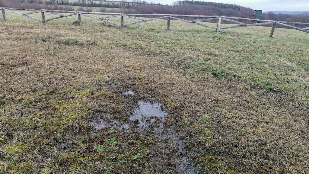 Gersheimer Flachmoor
