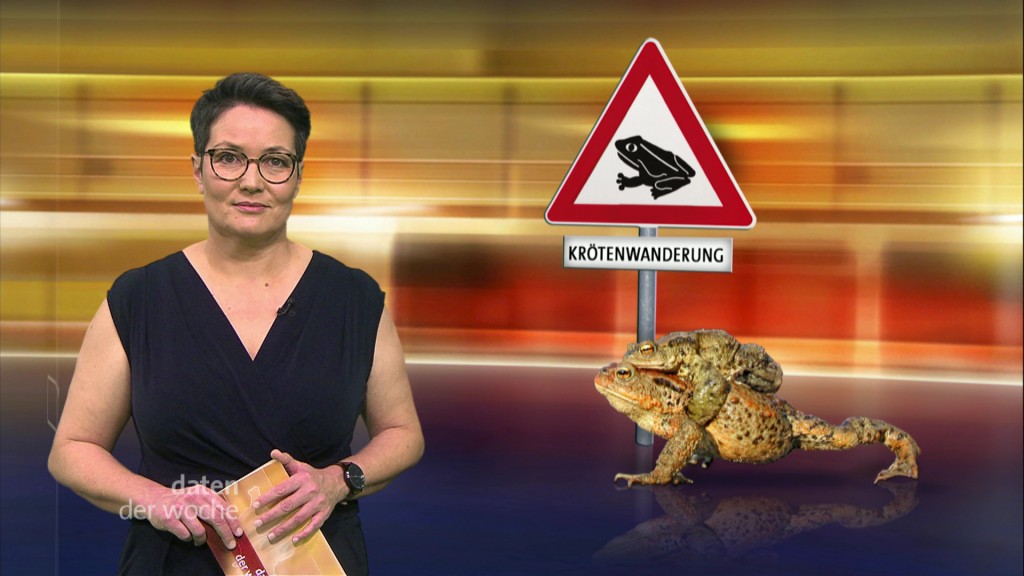 Foto: Sonja Marx im Studio
