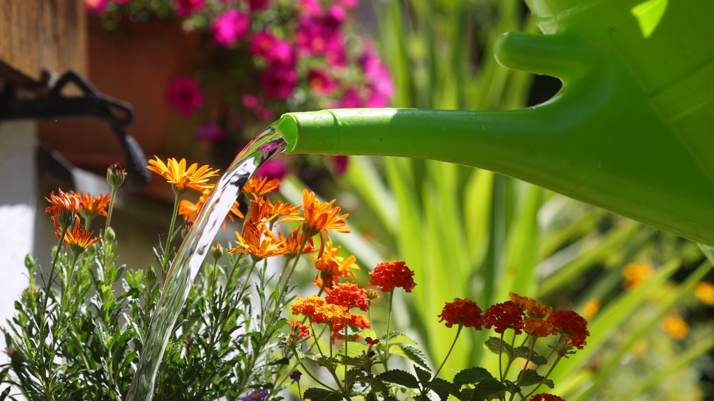 Blumen werden gegossen