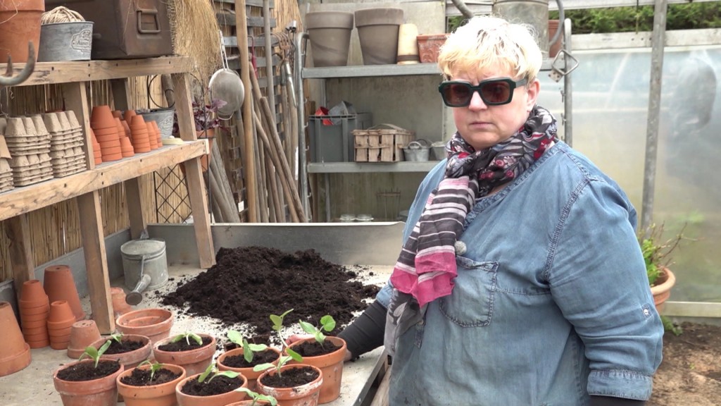 Foto: Frau beim Gärtnern