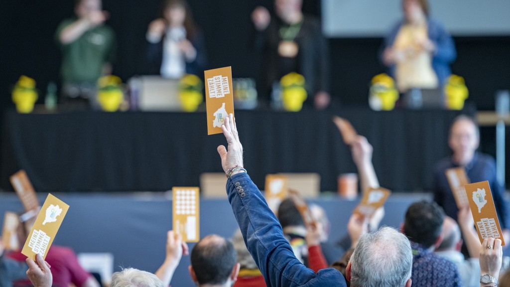 Foto: Eine Hand hält eine Abstimmungskarte hoch