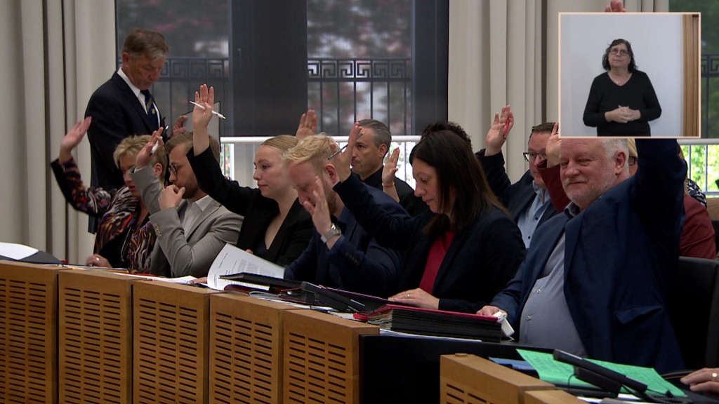 Foto: Parteimitglieder heben die Hand 