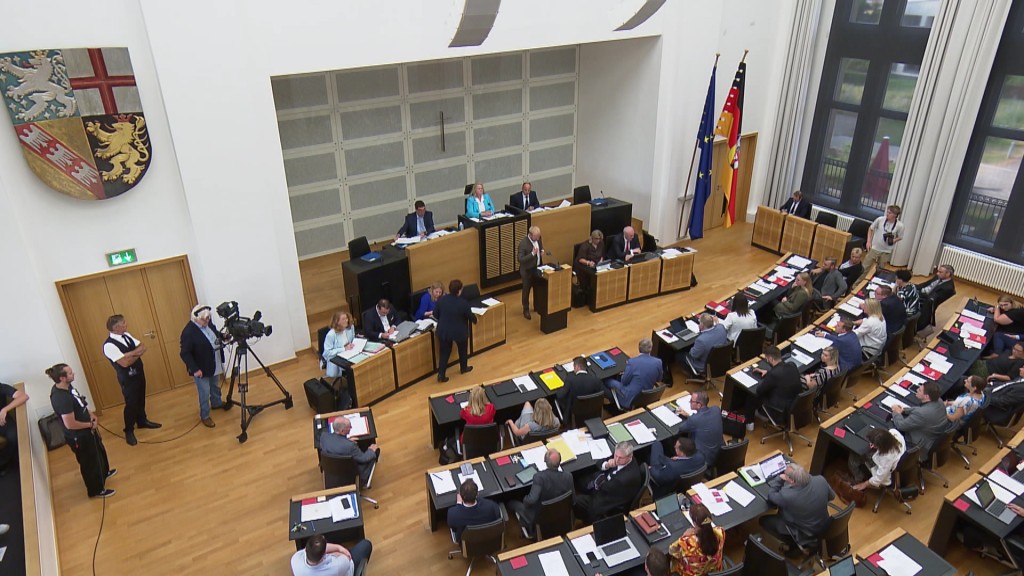 Abgeordnete im Plenarsaal des saarländischen Landtags
