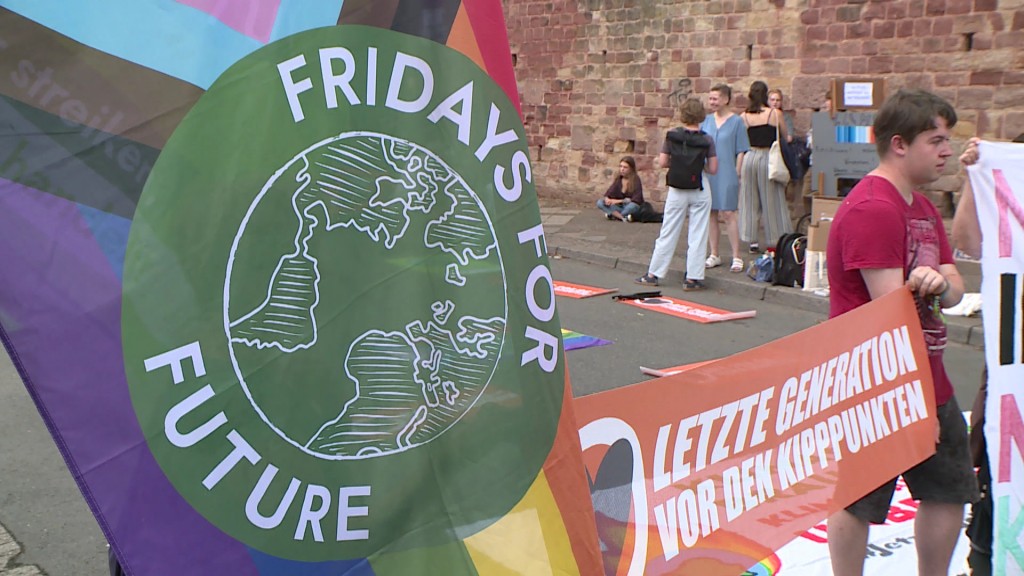 Fridays for Future-Demonstranten