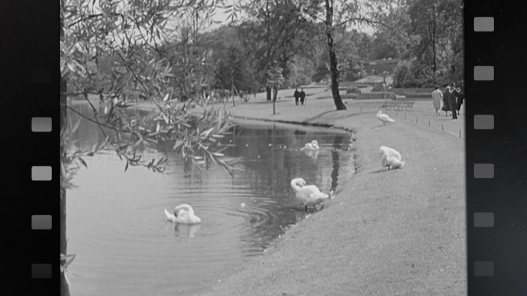 Foto: Deutsch-Französischer Garten