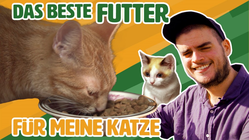 Foto: Das beste Futter für meine Katze