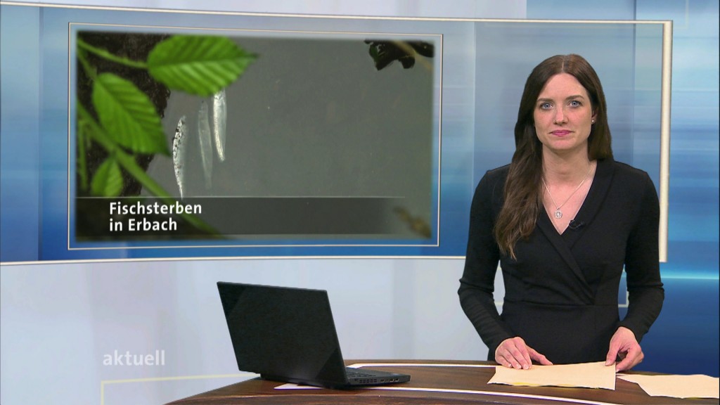 Foto: Frauke Feldmann im Studio