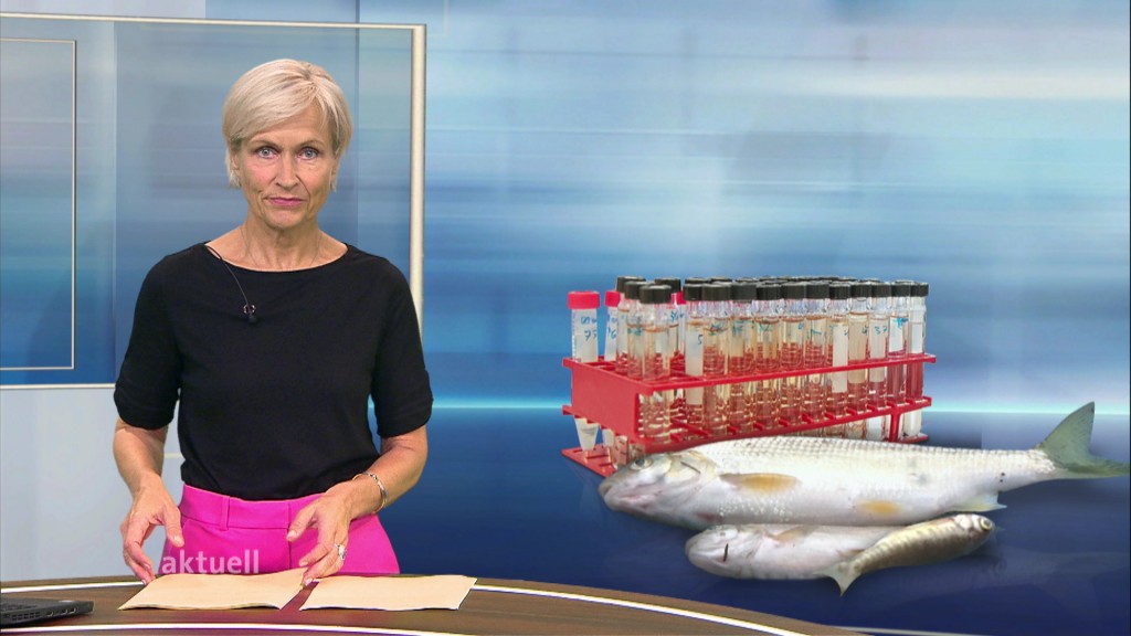 Foto: Verena Bisle im Studio