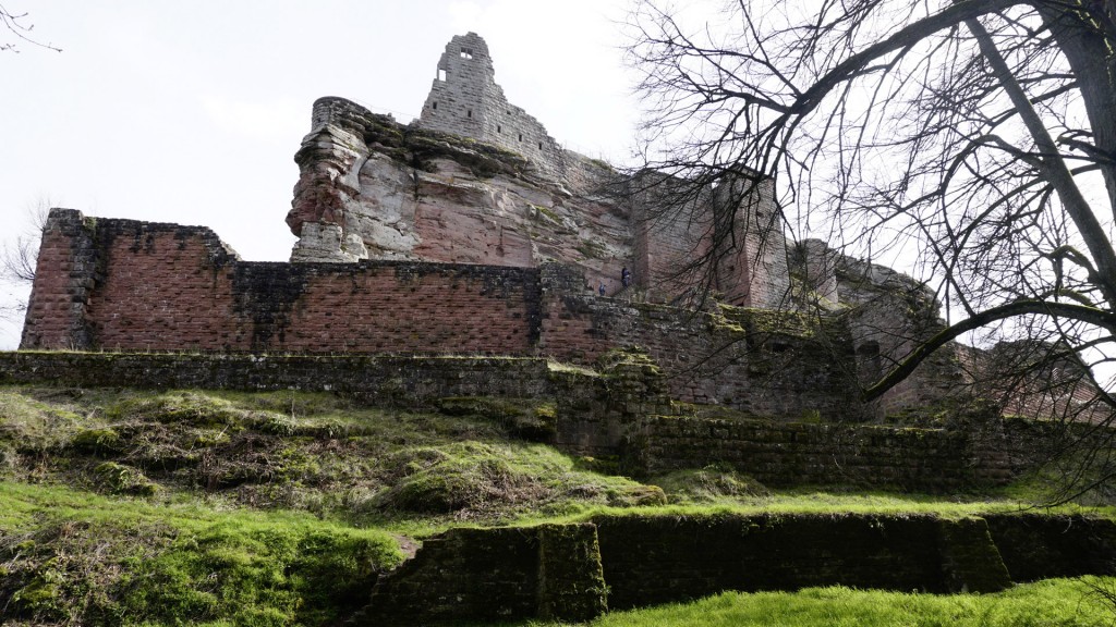 Die Ruine von Burg Fleckenstein im Elsass