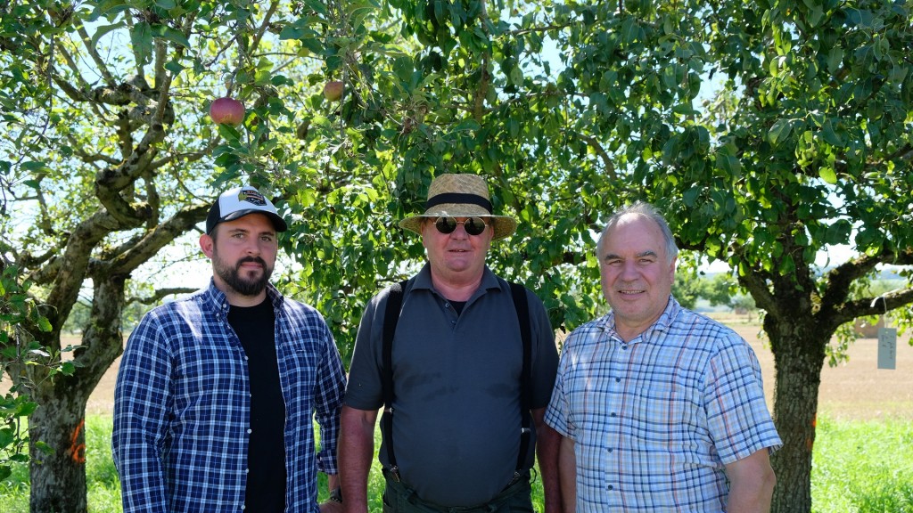 Klaus Sandmeier, Christophe Brengel und Richard Schreiner Streuobstwiese Breitfurt