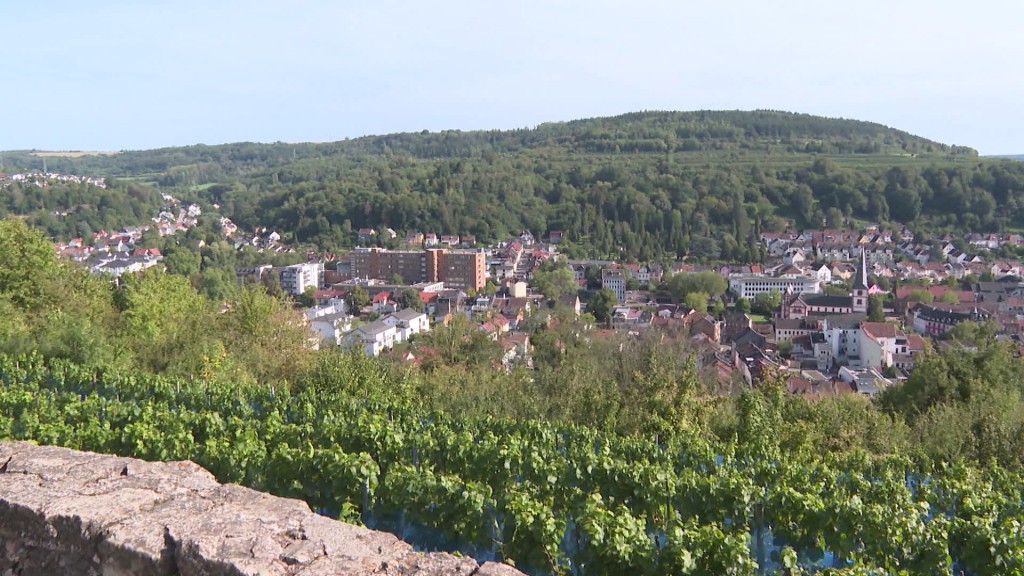 Foto: Eine saarländische Kommune aus der Vogelperspektive