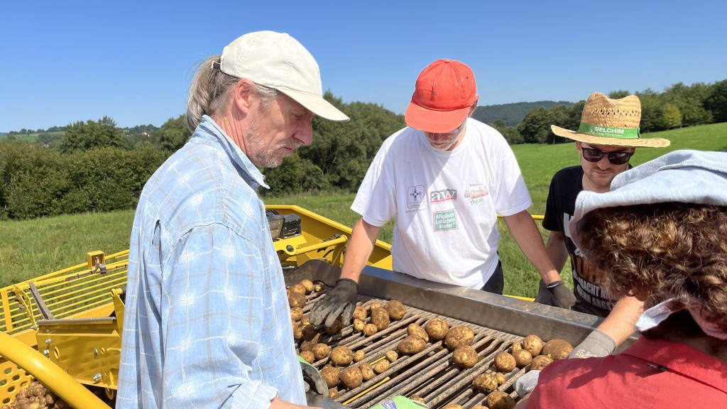 Kartoffelernte in Marpingen