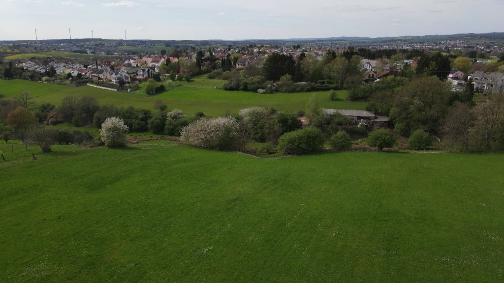 Foto: Mögliches Baugebiet in Riegelsberg