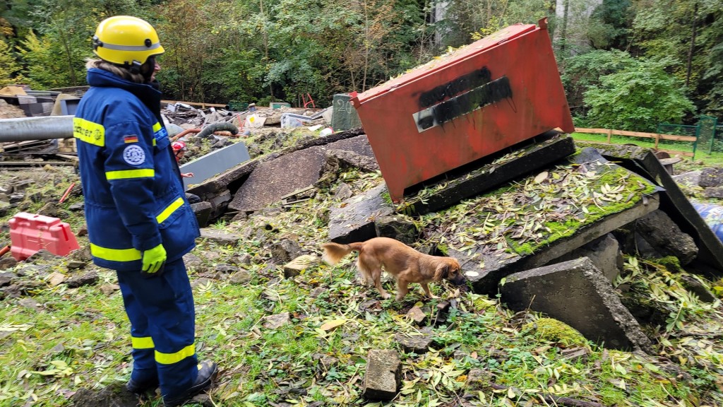 Rettungshund trainiert