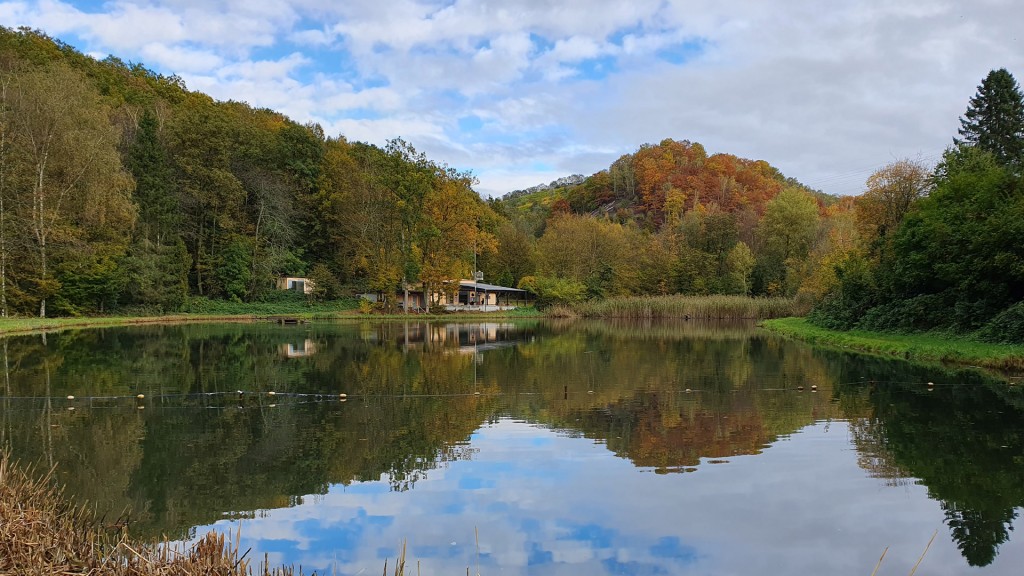 Trenkelbachweiher an der Althalde Maybach