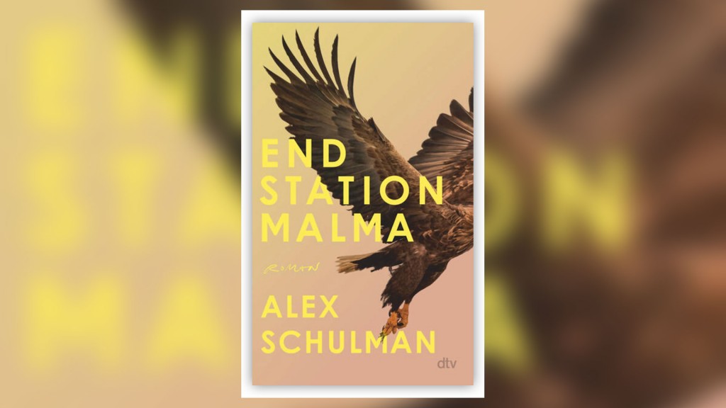 Buchcover: Alex Schulman – „Endstation Malma“
