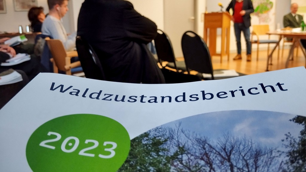 Waldzustandsbericht 2023