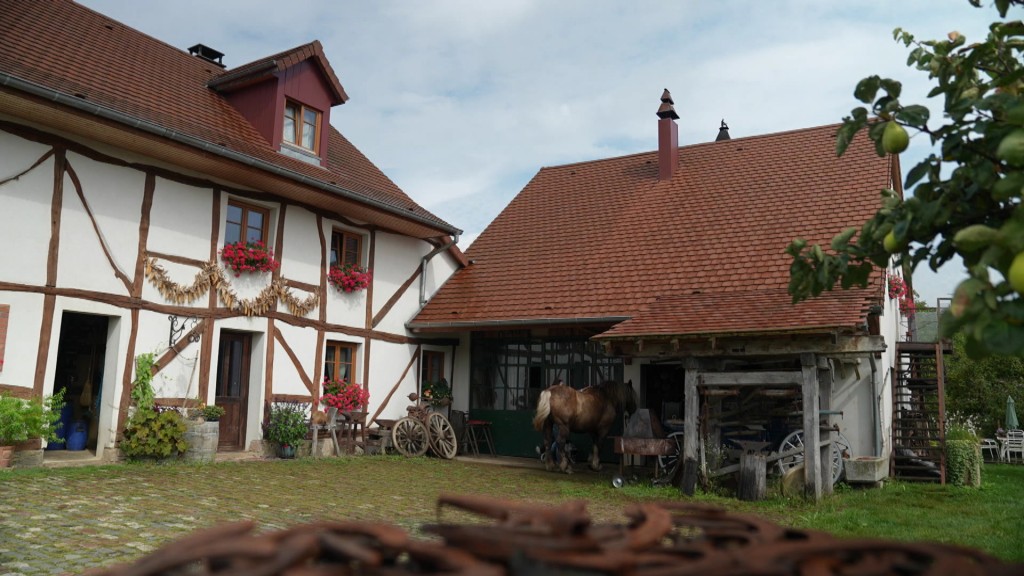 Foto: Der Pferdehof