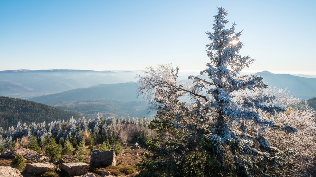 Foto: Die Vogesen im Winter - auf vielen Gipfeln liegt Frost statt Schnee