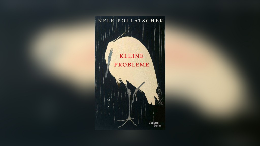Buchcover: Nele Pollatschek - Kleine Probleme