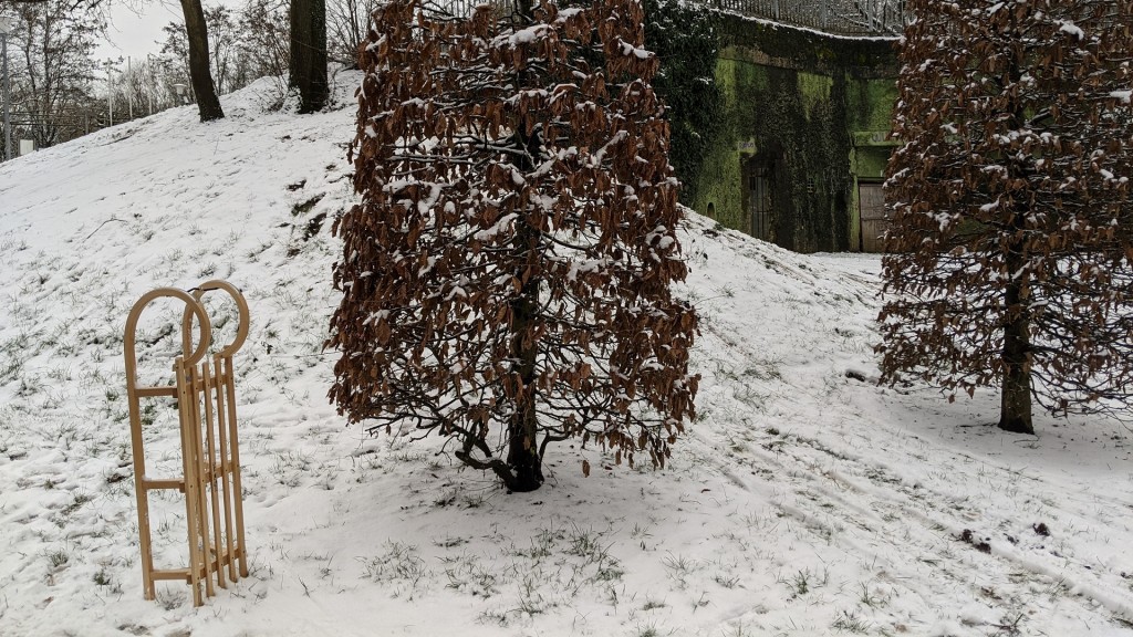 Ein Schlitten steht im Deutsch-Französischen Garten