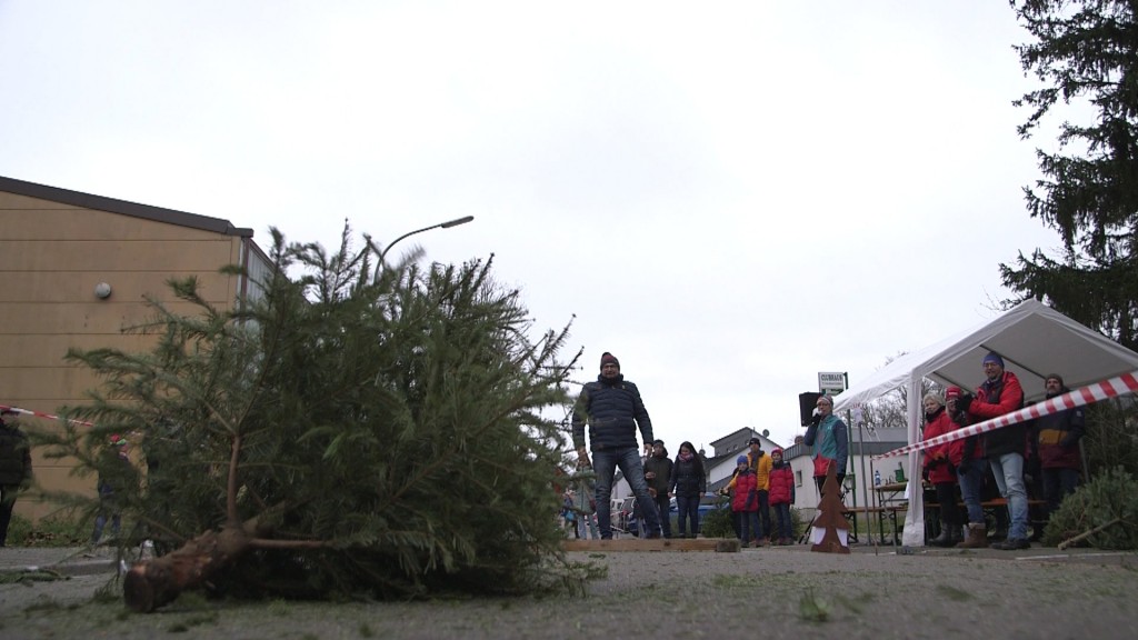 Foto: Ein Eindruck vom Tannenbaum-Weitwurf in Griesborn: Ein Mann steht an der Wurflinie im Hintergrund. Im Vordergrund liegt sein geworfener Tannenbaum auf dem Boden.