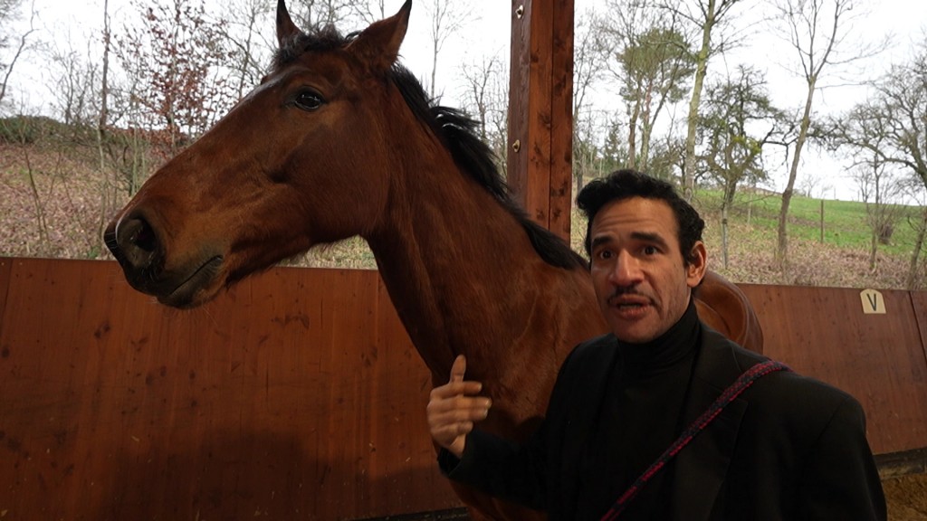 Foto: Olivero und ein Pferd