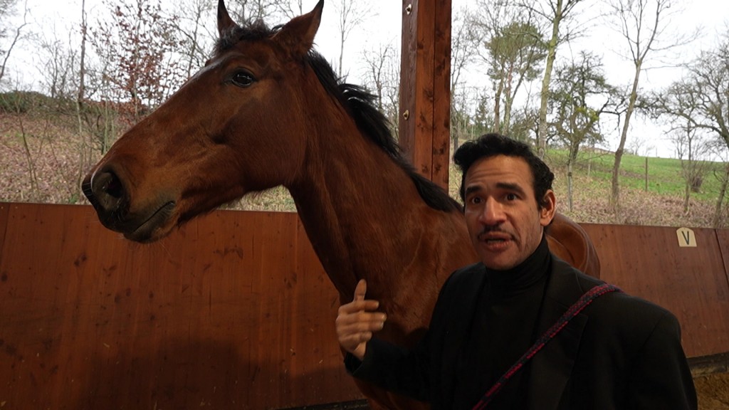 Foto: Olivero und ein Pferd