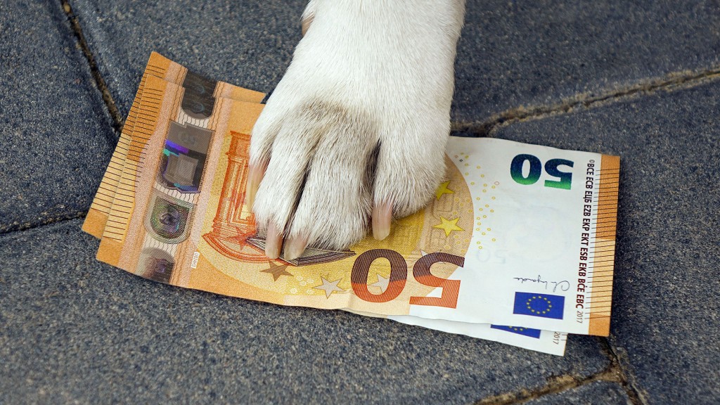 Hundefoto auf Geldscheinen 