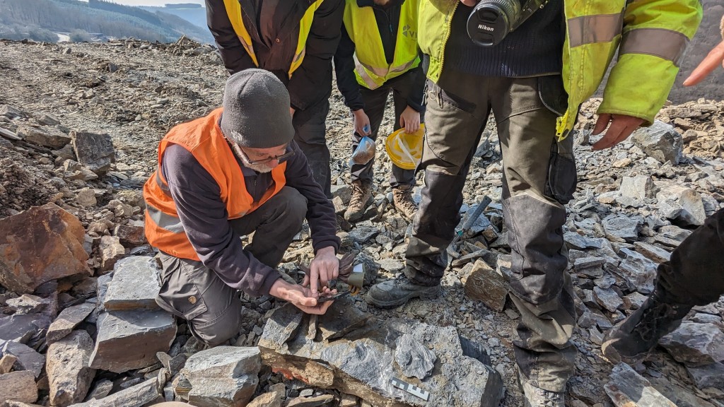 Moment der Entdeckung des Seeskorpions