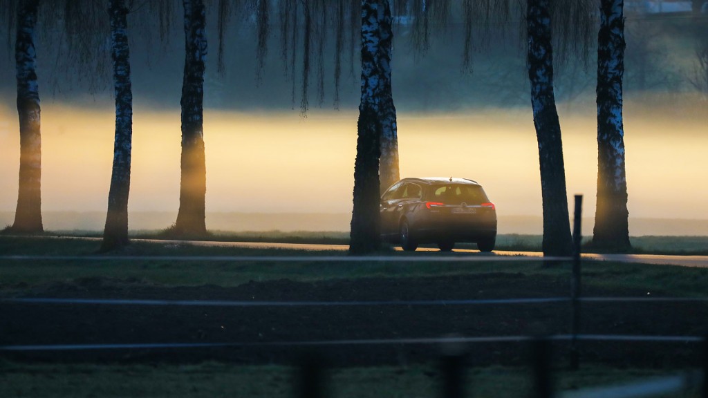 Ein Auto fährt mit morgendlichem Nebel und Sahrastaub in der Luft durch eine Allee