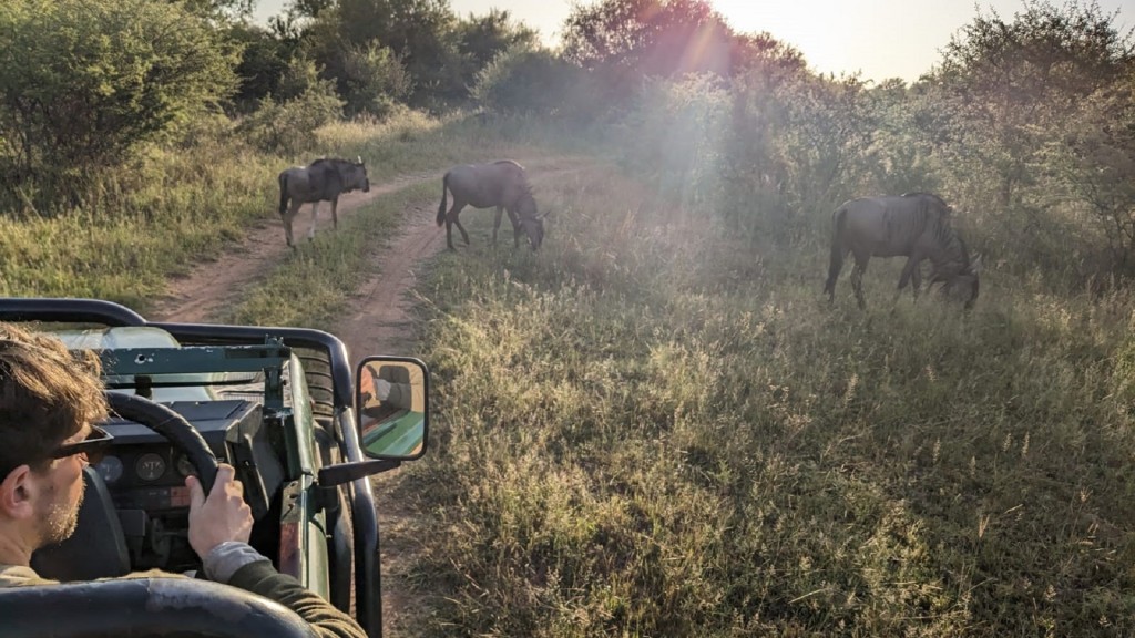 Christoph Borgans auf Safari-Tour