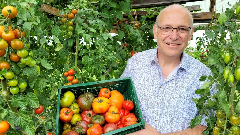 Foto: Alte Tomatensorten