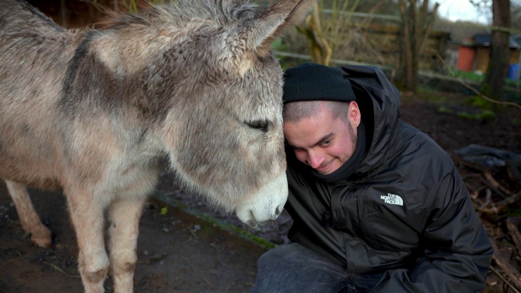 Foto: Kuscheln mit einem Esel