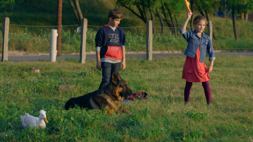 Foto: Kinder spielen auf der Wiese mit Hund Cézar