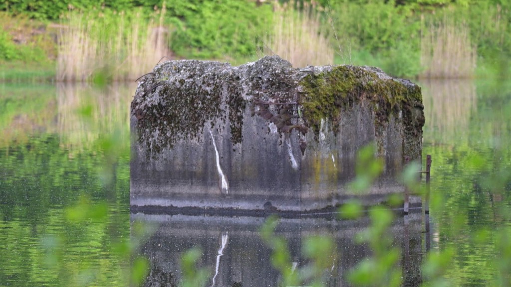 Foto: Teil eines künftigen Naturschutzgebietes