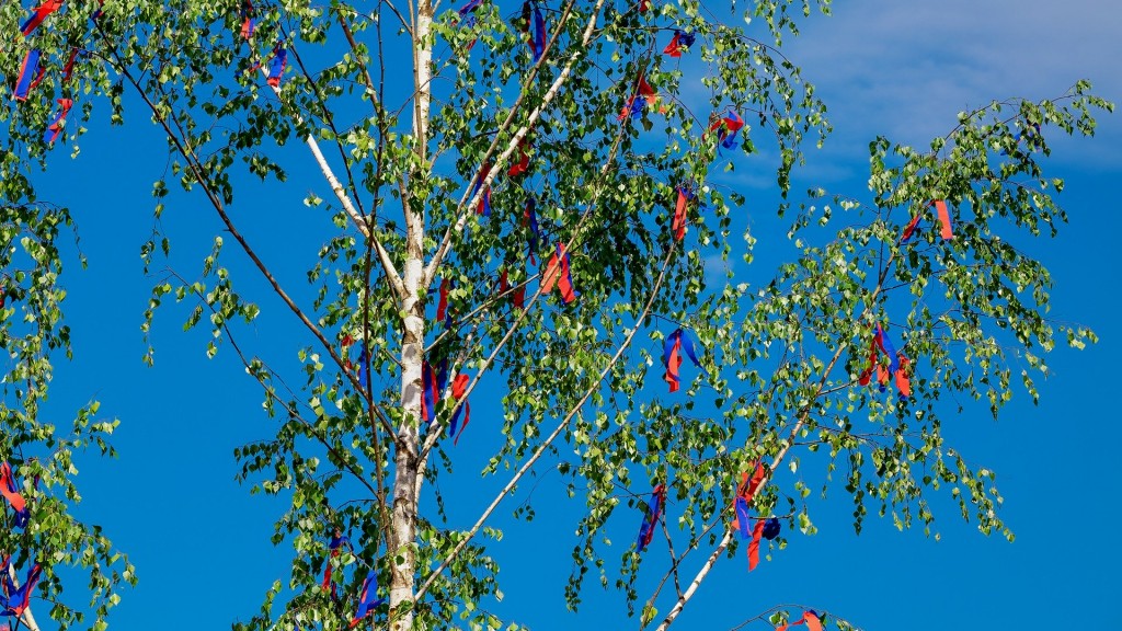 Maibaum