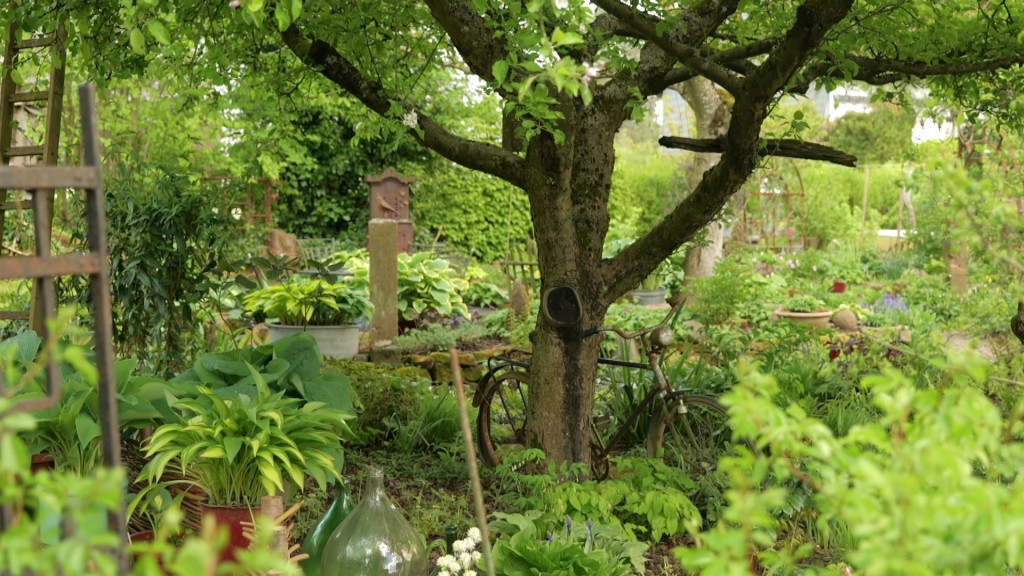 Foto: Blick in einen Garten