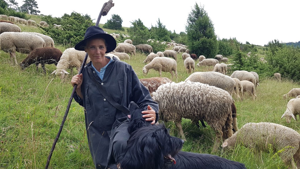 Foto: Schäferin mit den Schafen auf der Weide