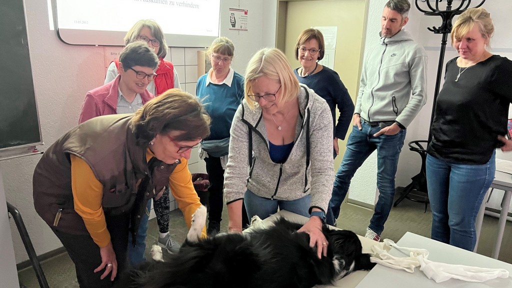 Erste Hilfe bei Hunden - VHS-Kurs in Dillingen