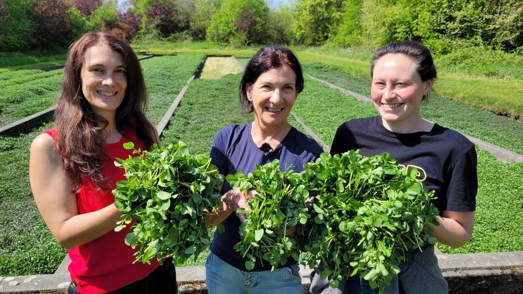 Foto: Geschäftsführerin und Mitarbeiterinnen mit Brunnenkresse