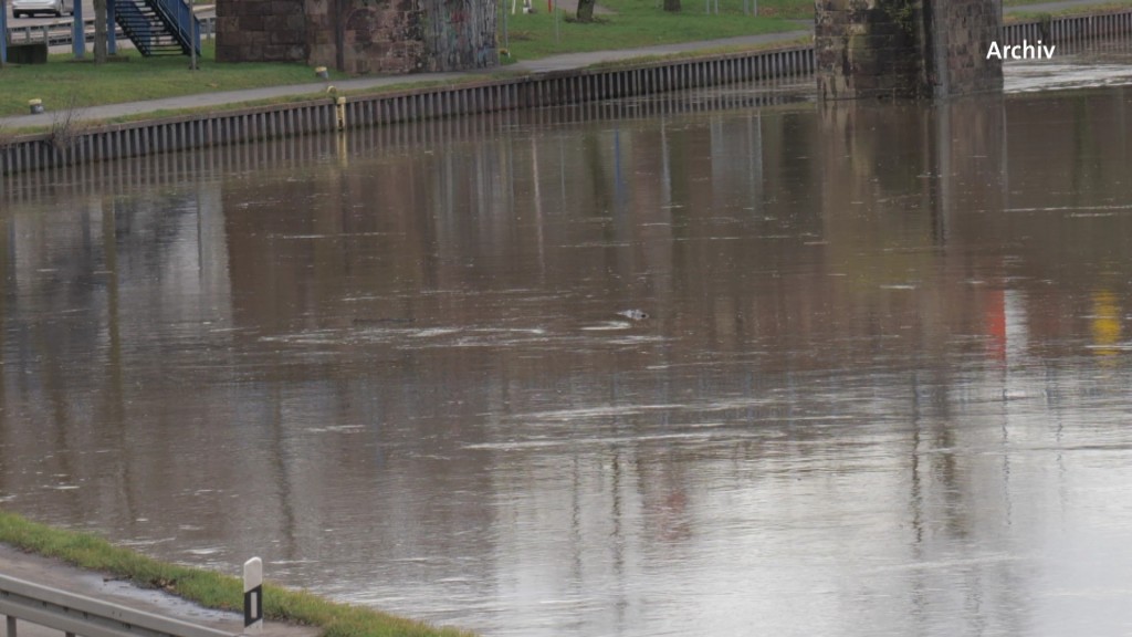 Foto: Hochwasser und Treibgut in der Saar