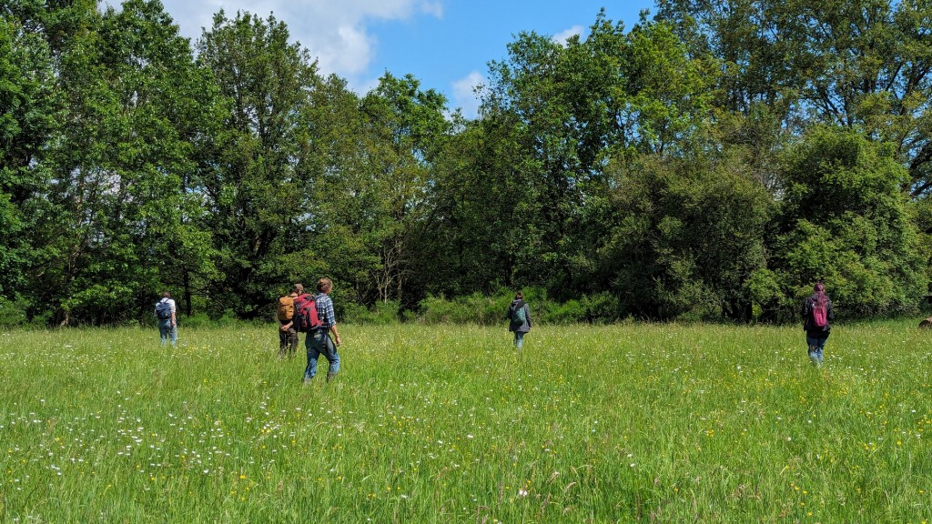 Botaniker im Gelände
