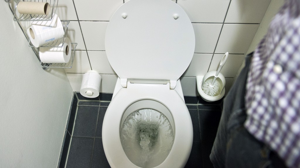 Toilettenspülung