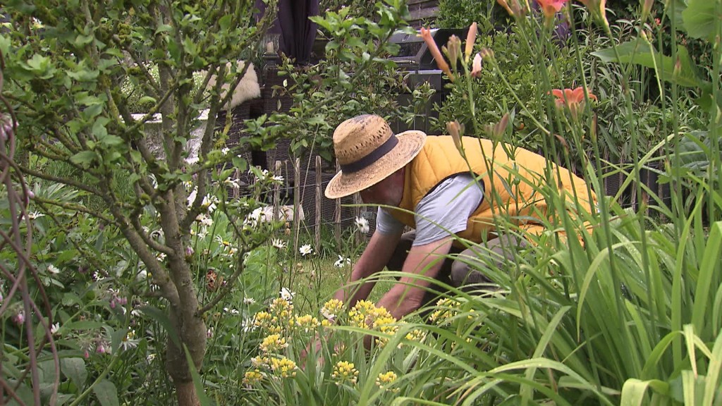 Foto: Mann im Garten