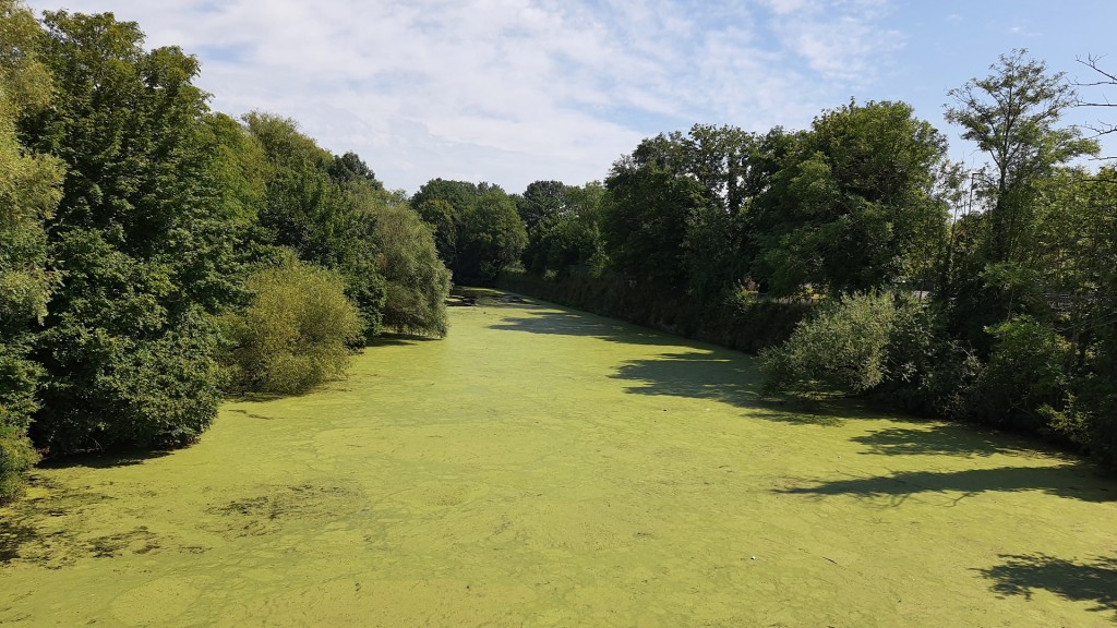 Foto: Der Saaraltarm in Saarlouis
