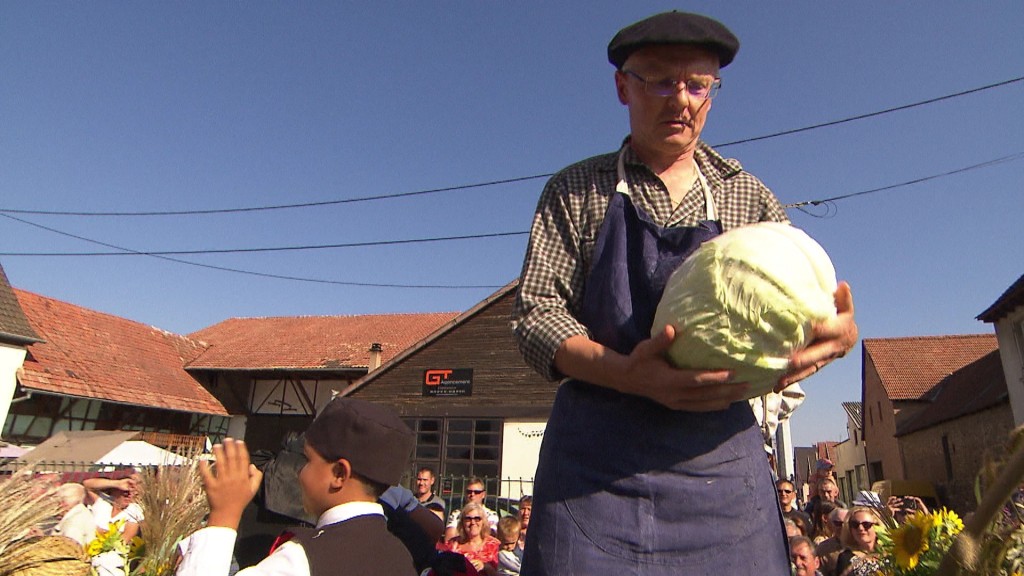 Foto: Sauerkrautfest in Krautersgersheim