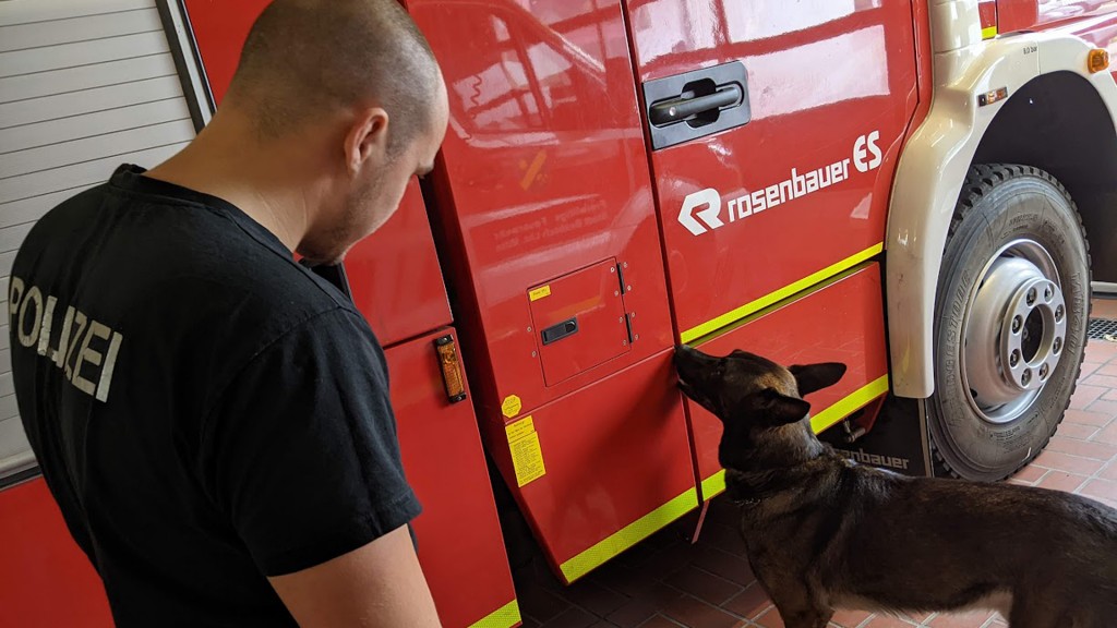 Polizeihund Roki beim Training